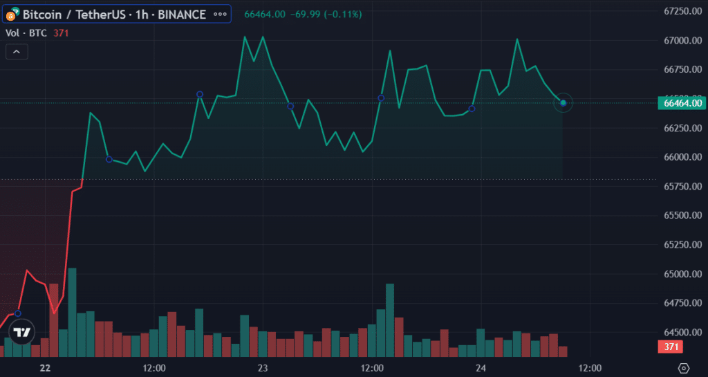 Tesla did not sell Bitcoin holdings despite falling Q1 profits - 2