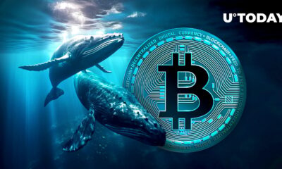 $78M in Bitcoin Deposited to Kraken by Big Whale as BTC Plunges