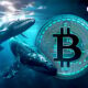 $78M in Bitcoin Deposited to Kraken by Big Whale as BTC Plunges