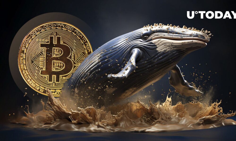 Bitcoin whales disappear