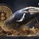 Bitcoin whales disappear