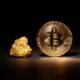 Peter Schiff Warns Against Accumulating 'Risk Assets' Like Tech Stocks and Bitcoin Amid Inflation Concerns: 'Investors Should Buy Gold'