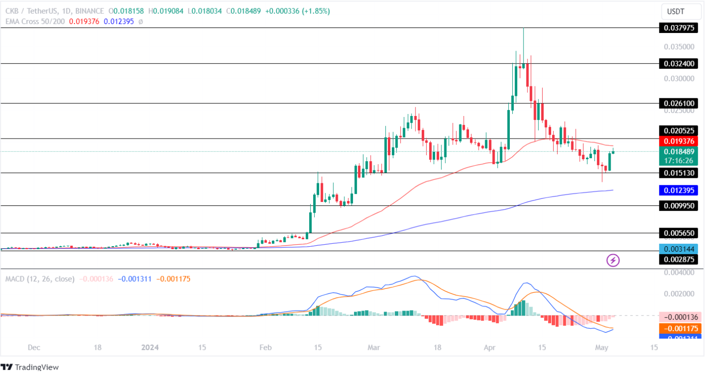 CKB Price Analysis