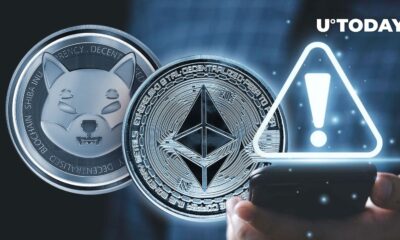 Crucial Ethereum SHIB Warning Sent to the Community by Rep Shiba Inu