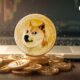 Dogecoin (DOGE) just beat Ethereum, Shiba Inu and others in 24 hours: details