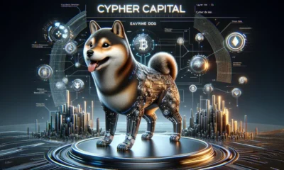 Shiba Inu's layer 3 blockchain set to power up blockchain real-world utility Cypher Capital Chairman