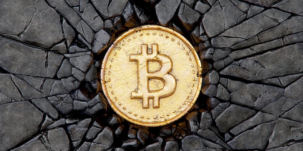 This Week in Coins: Bitcoin Battered But Rebounds as Meme Coin Mania Remains