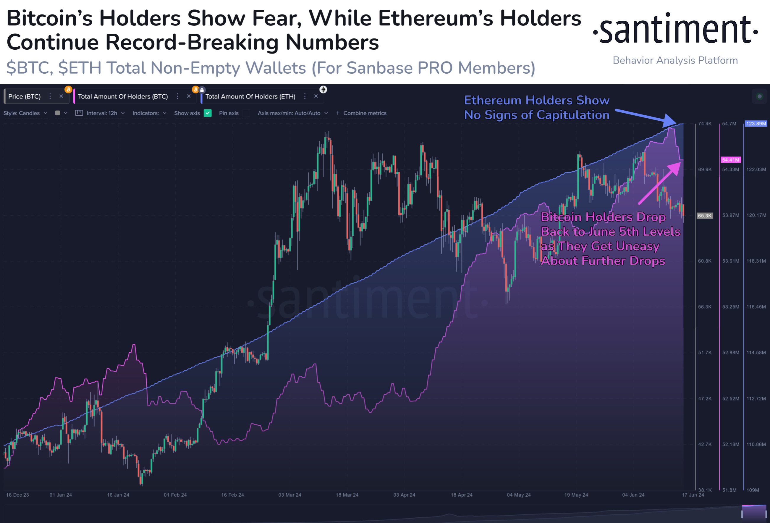 Total number of Bitcoin holders