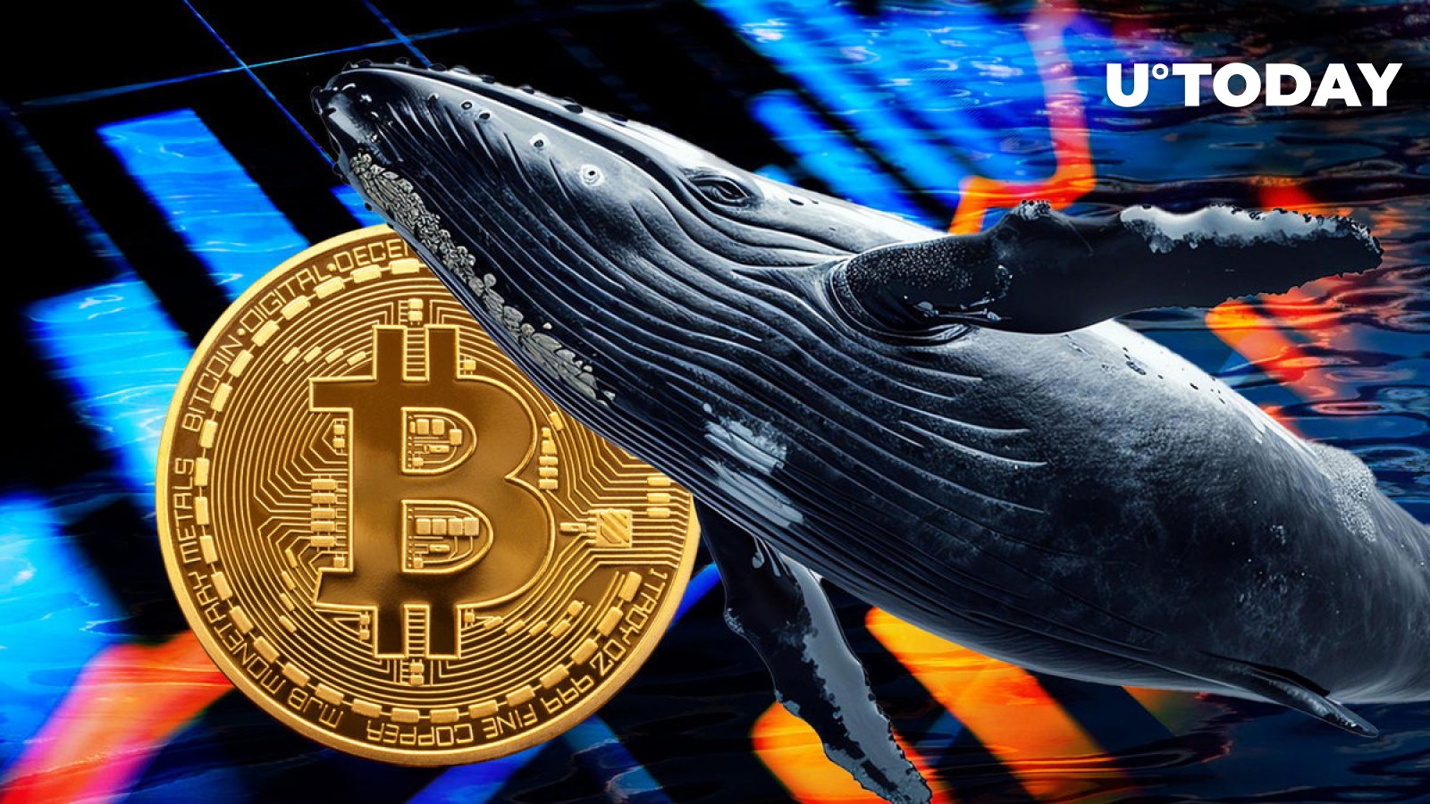 Major Bitcoin Whale Makes Huge Transfer to Coinbase