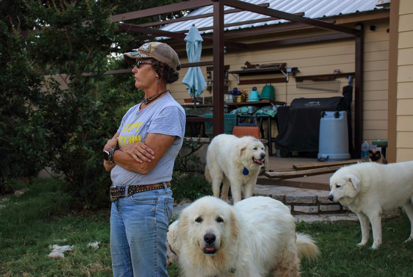 Cheryl Shadden in her backyard with several of her Great Pyrenees dogs on Tuesday, June 11, 2024.