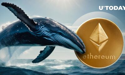 Ethereum (ETH) Whales Are Getting Incredibly Bullish: Details