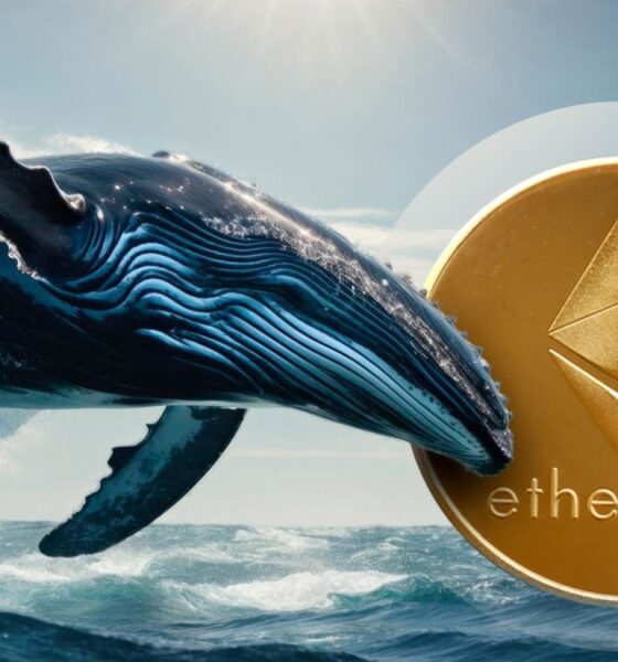 Ethereum (ETH) Whales Are Getting Incredibly Bullish: Details