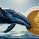 Ethereum (ETH) Whales Are Getting Incredibly Bullish: Details